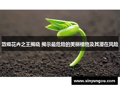 致癌花卉之王揭晓 揭示最危险的美丽植物及其潜在风险