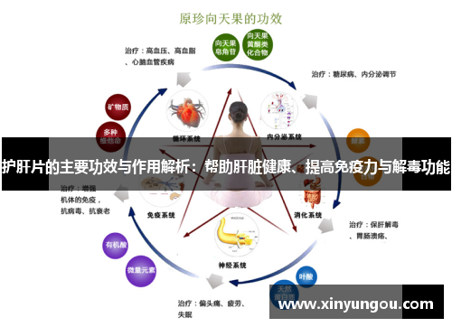 护肝片的主要功效与作用解析：帮助肝脏健康、提高免疫力与解毒功能