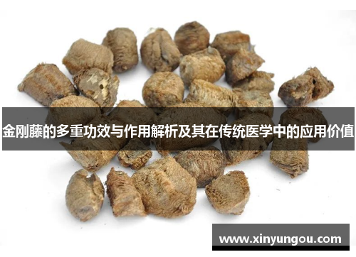 金刚藤的多重功效与作用解析及其在传统医学中的应用价值