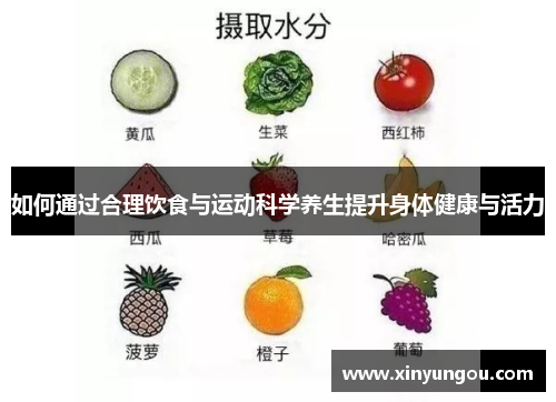 如何通过合理饮食与运动科学养生提升身体健康与活力