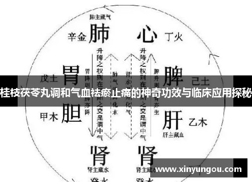 桂枝茯苓丸调和气血祛瘀止痛的神奇功效与临床应用探秘