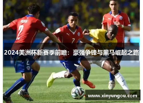 2024美洲杯新赛季前瞻：豪强争锋与黑马崛起之路